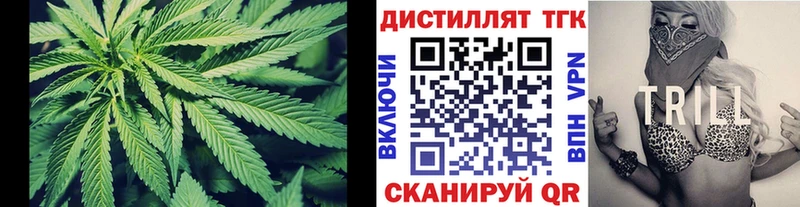 ТГК Wax  Стрежевой 